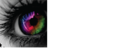 Mercury Phillips Web Site